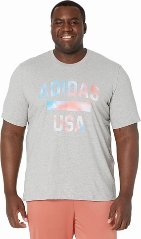 Adidas Men's America Graphic Tee, Grey