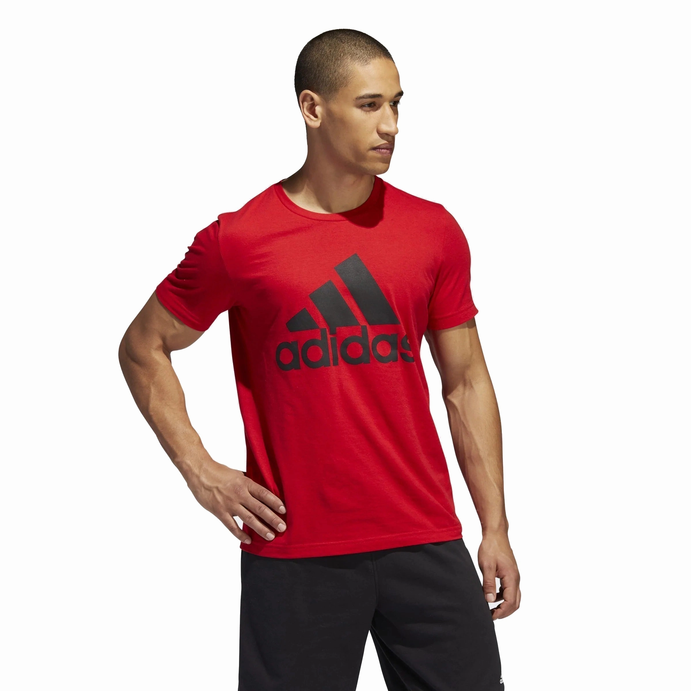 Adidas Men's Basic Badge Of Sport Tee