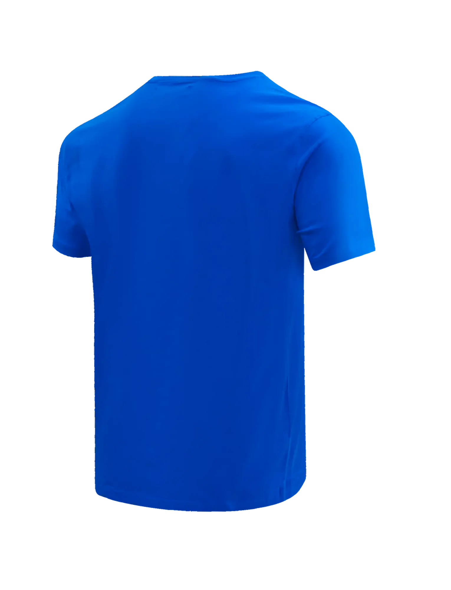 Buffalo Bills Pro Standard NFL Classic Bristle Flex T-Shirt - Blue
