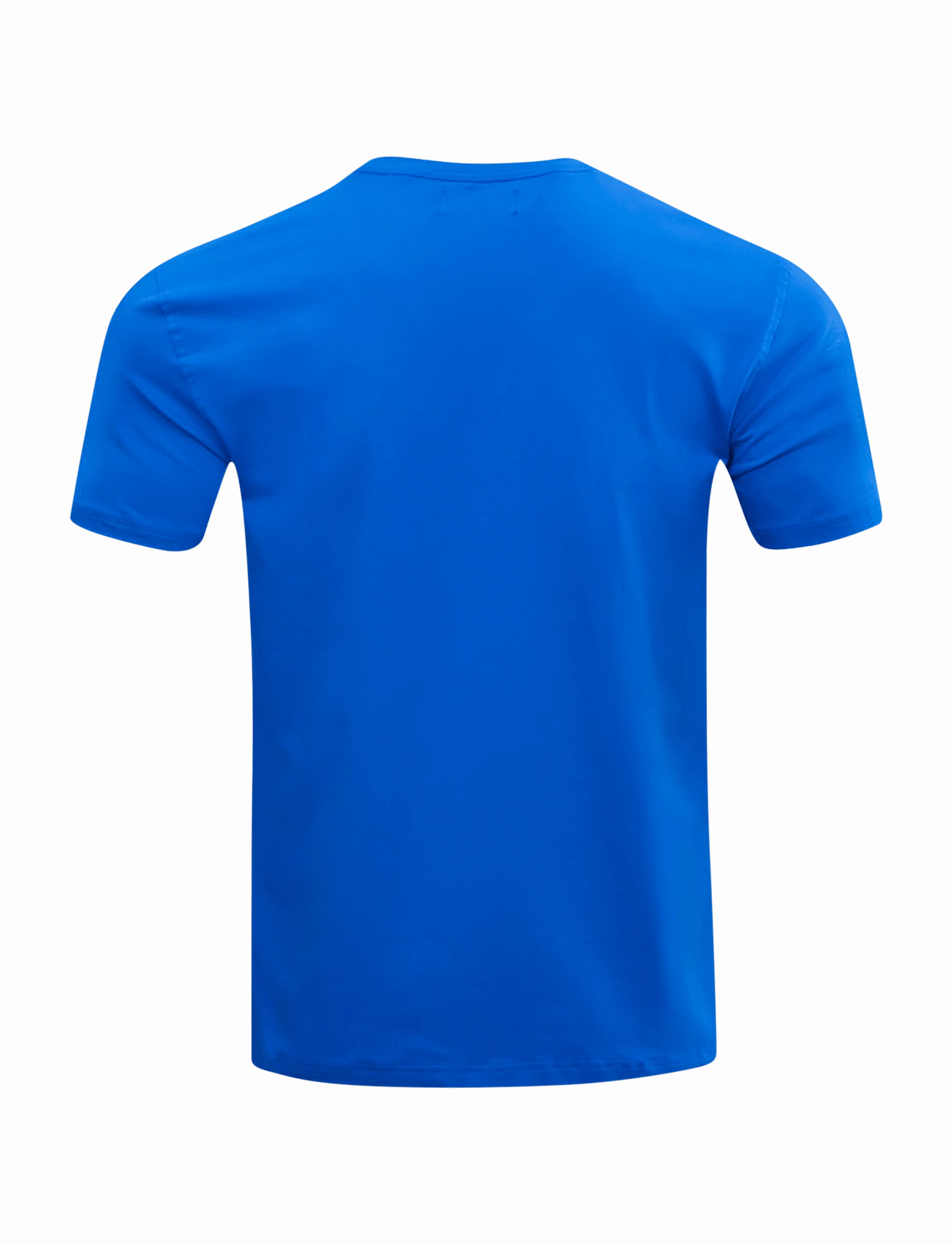 Buffalo Bills Pro Standard NFL Classic Bristle Flex T-Shirt - Blue