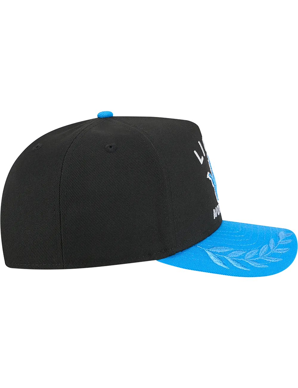 Detroit Lions New Era NFL 25 Draft Pre-Curved 9FIFTY A-Frame Snapback Hat - Black