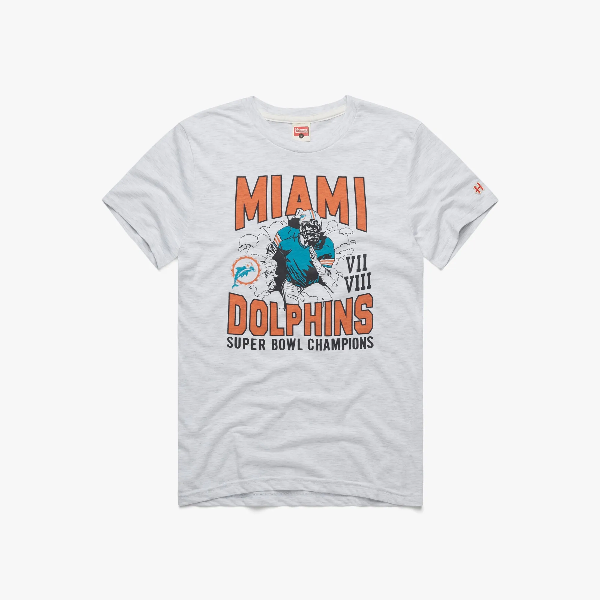 Dolphins 2 Time Super Bowl Champions