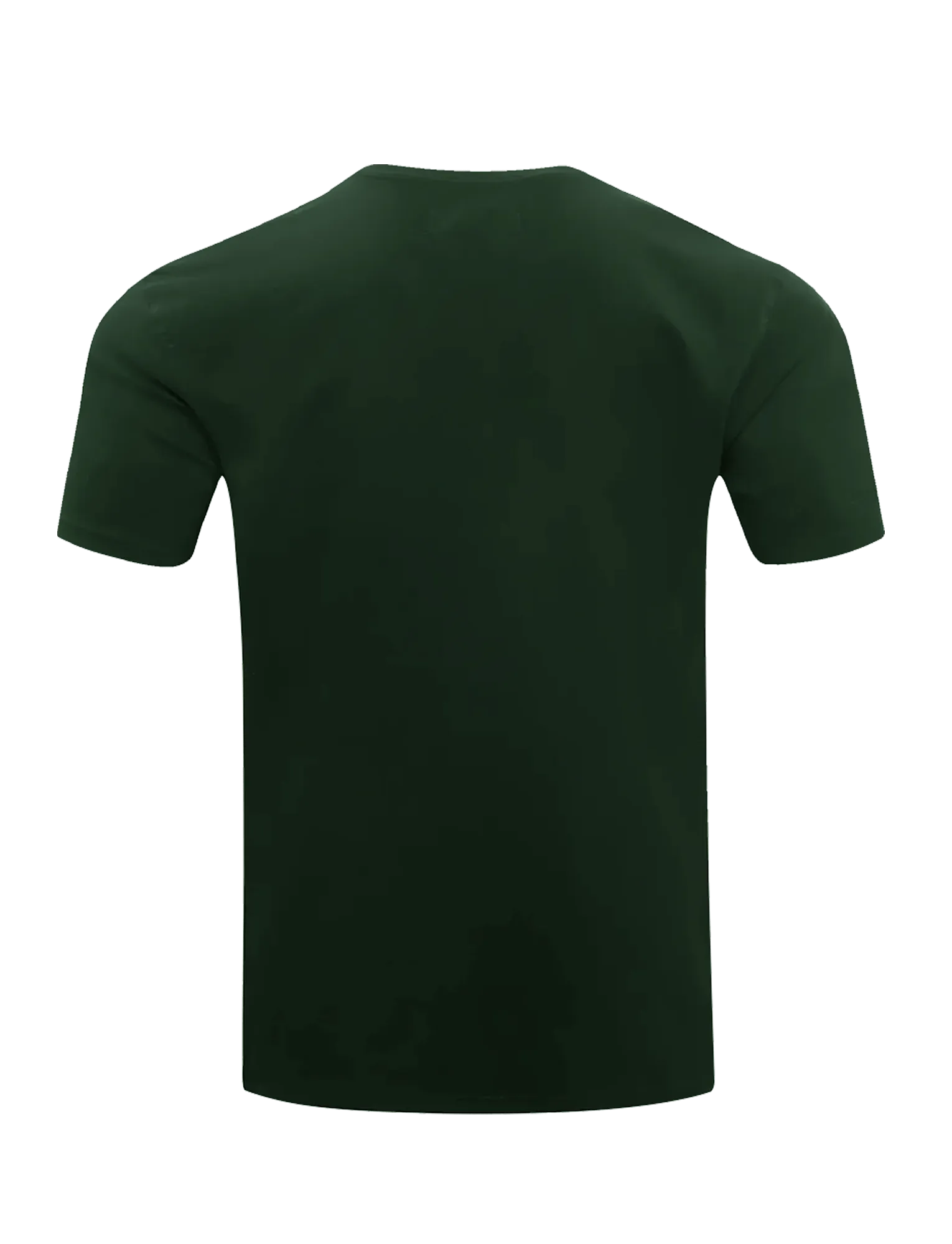 Green Bay Packers Pro Standard NFL Classic Chenille Flex T-Shirt - Green