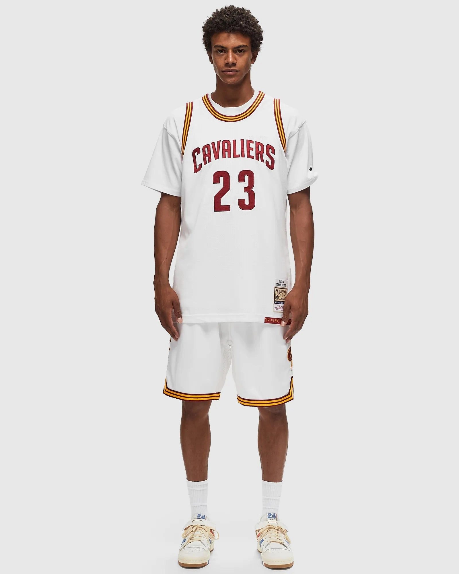 LeBron James Cleveland Cavaliers Mitchell & Ness NBA 2015 Swingman Jersey - White