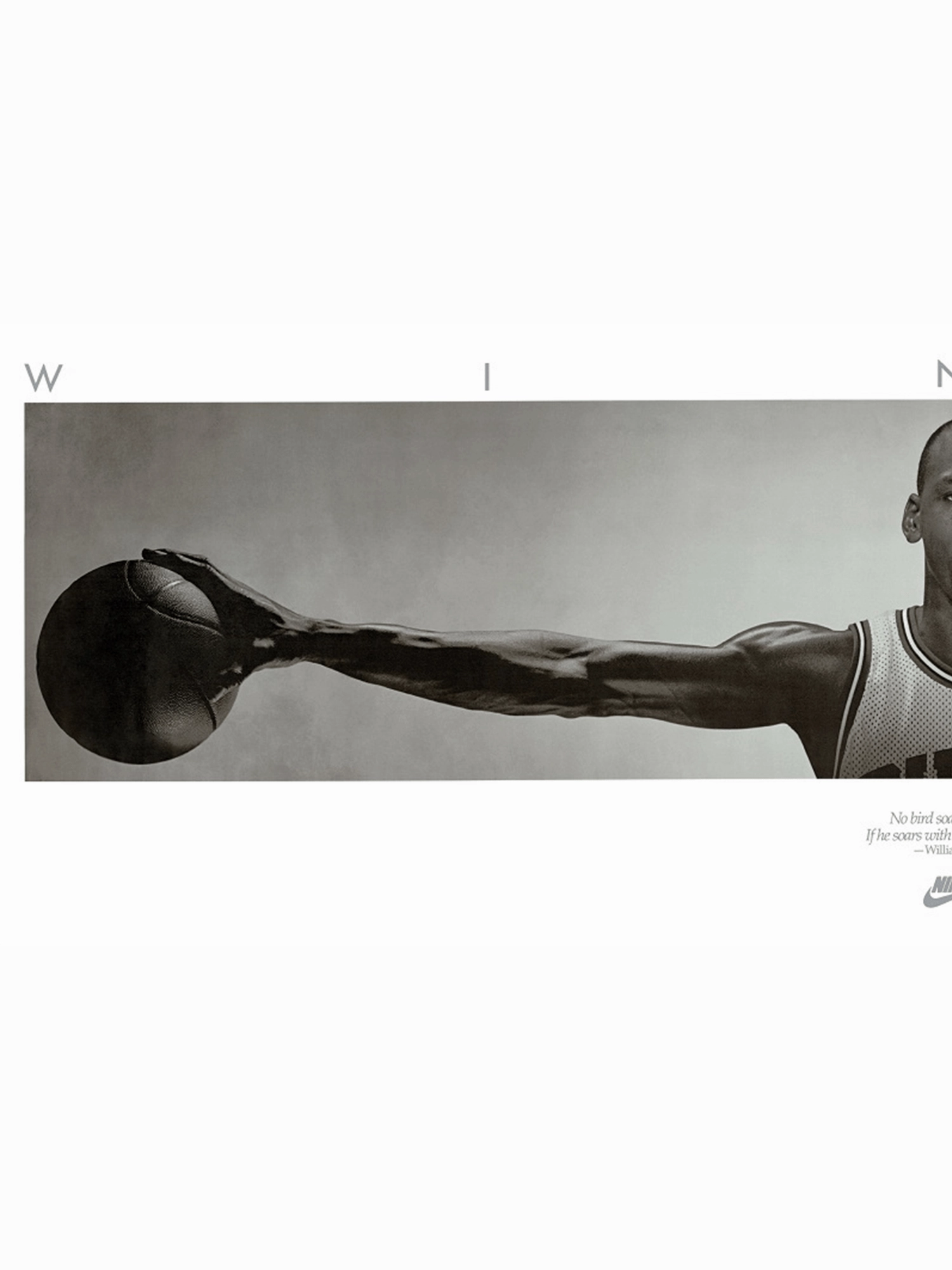 Michael Jordan Chicago Bulls NBA Wings 160 x 60cm Poster