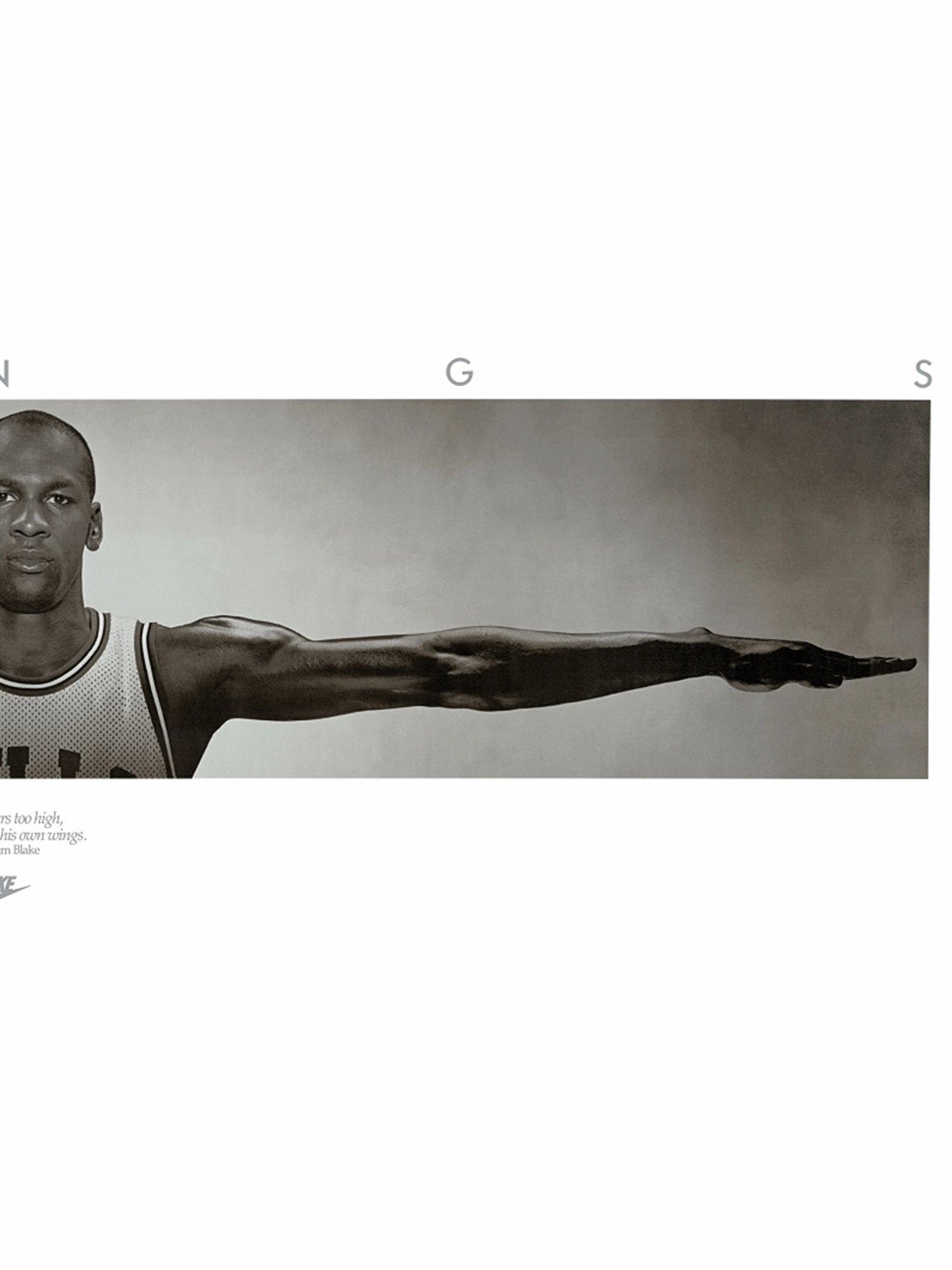 Michael Jordan Chicago Bulls NBA Wings 160 x 60cm Poster