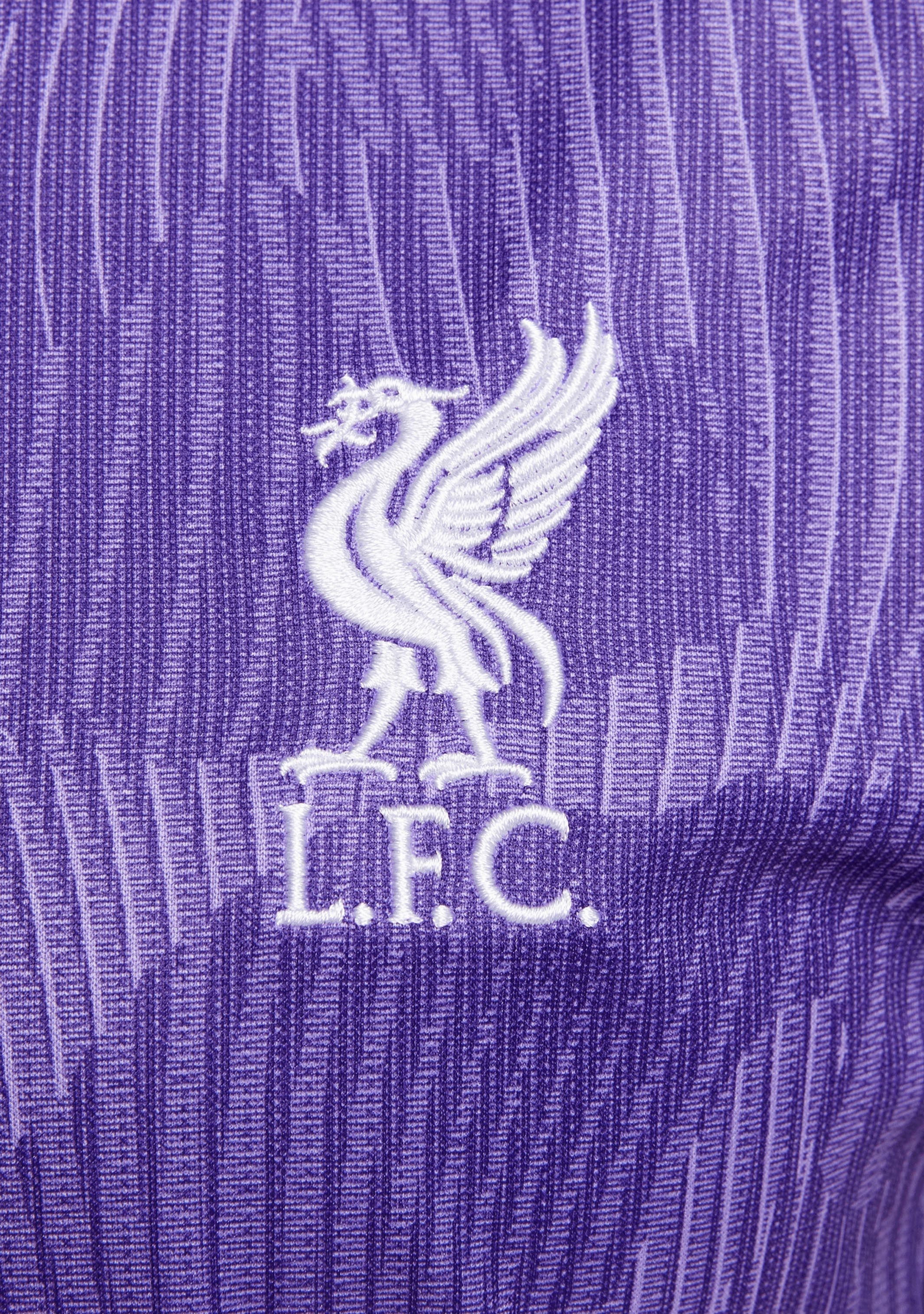 Nike Women's Liverpool F.C. 2023/24 Stadium Third Dri-FIT Jersey