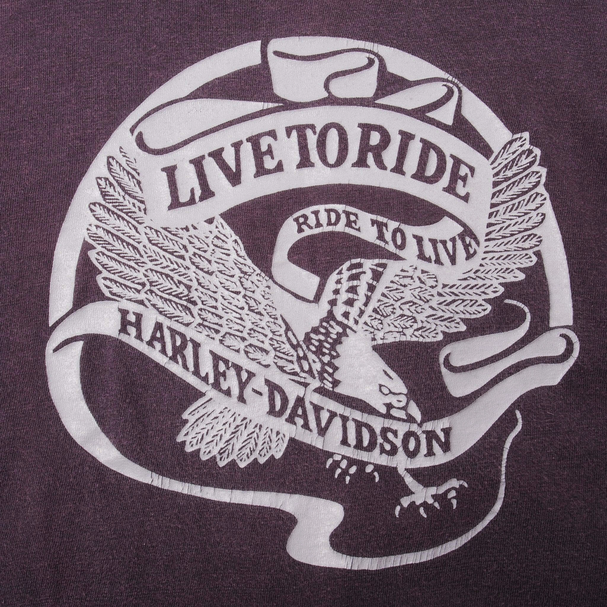 VINTAGE CHAMPION HARLEY DAVIDSON TEE SHIRT 1970s SIZE MEDIUM MADE IN USA