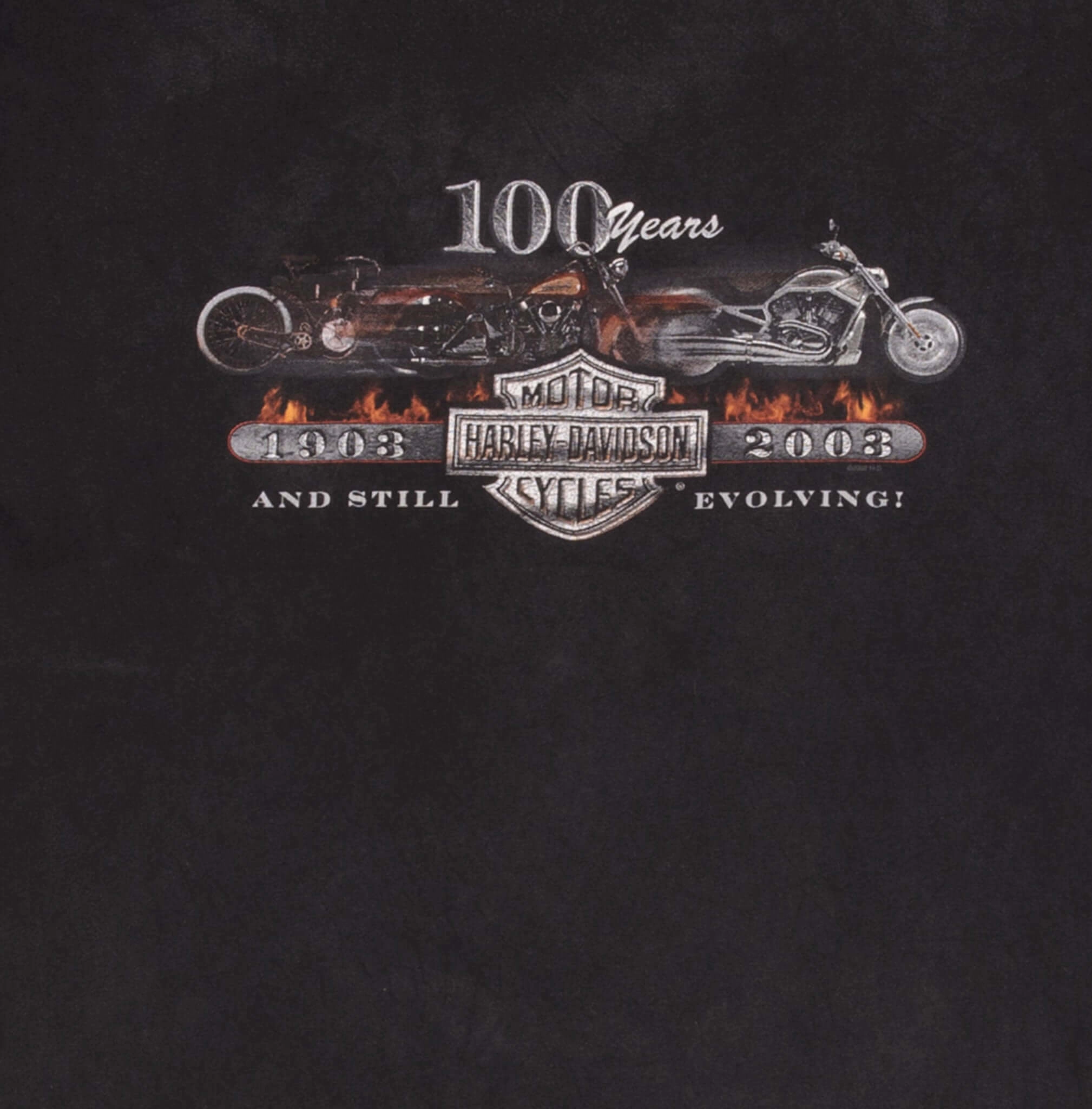 VINTAGE HARLEY DAVIDSON 100 YEARS ANNIVERSARY TEE SHIRT 2003 3XL MADE IN USA