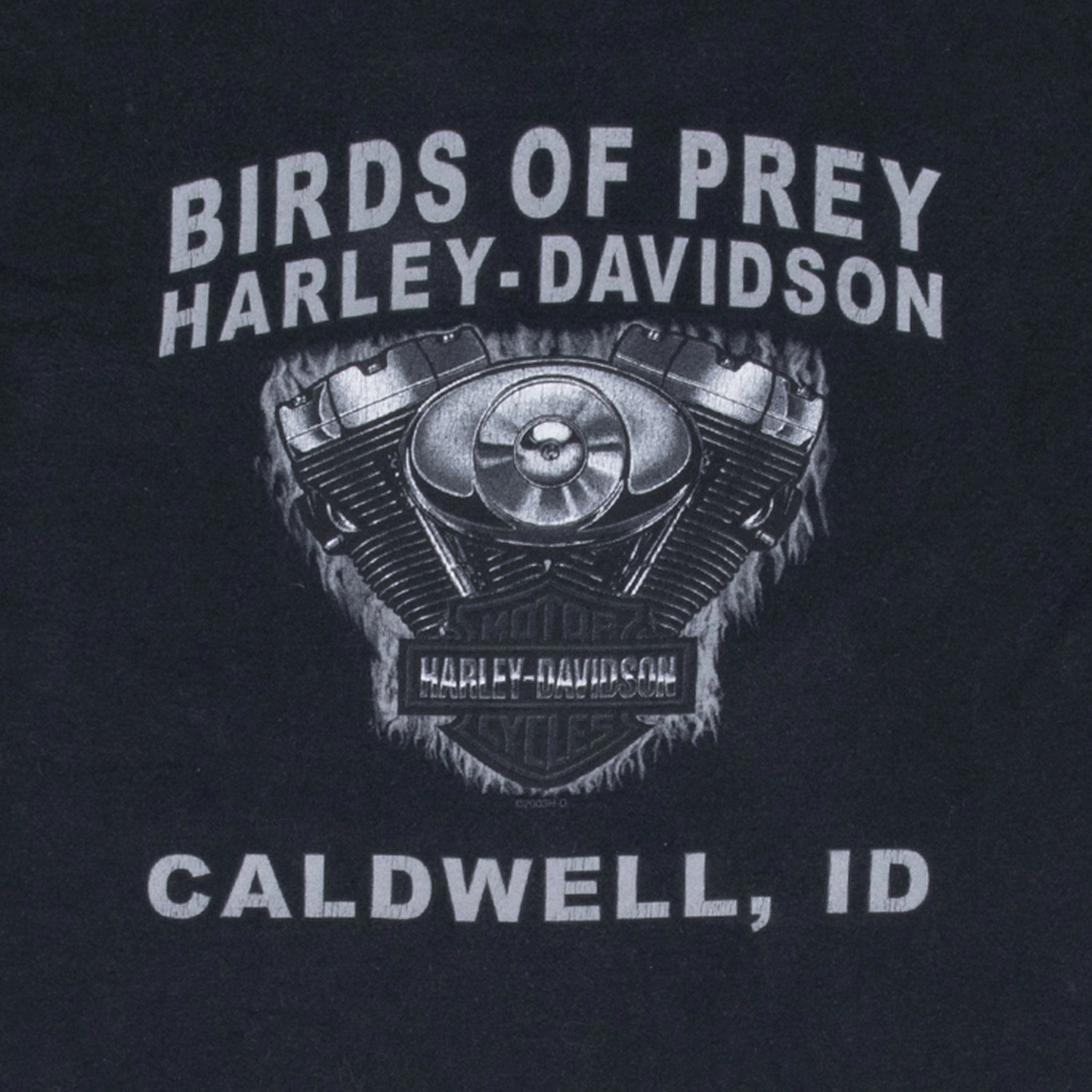 VINTAGE HARLEY DAVIDSON CALDWELL IDAHO 2003 POCKET TEE SHIRT LARGE