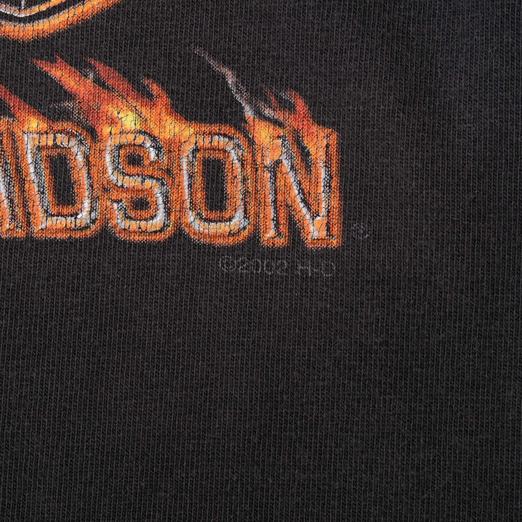 VINTAGE HARLEY DAVIDSON EAGLE 2002 TEE SHIRT LARGE MADE IN USA