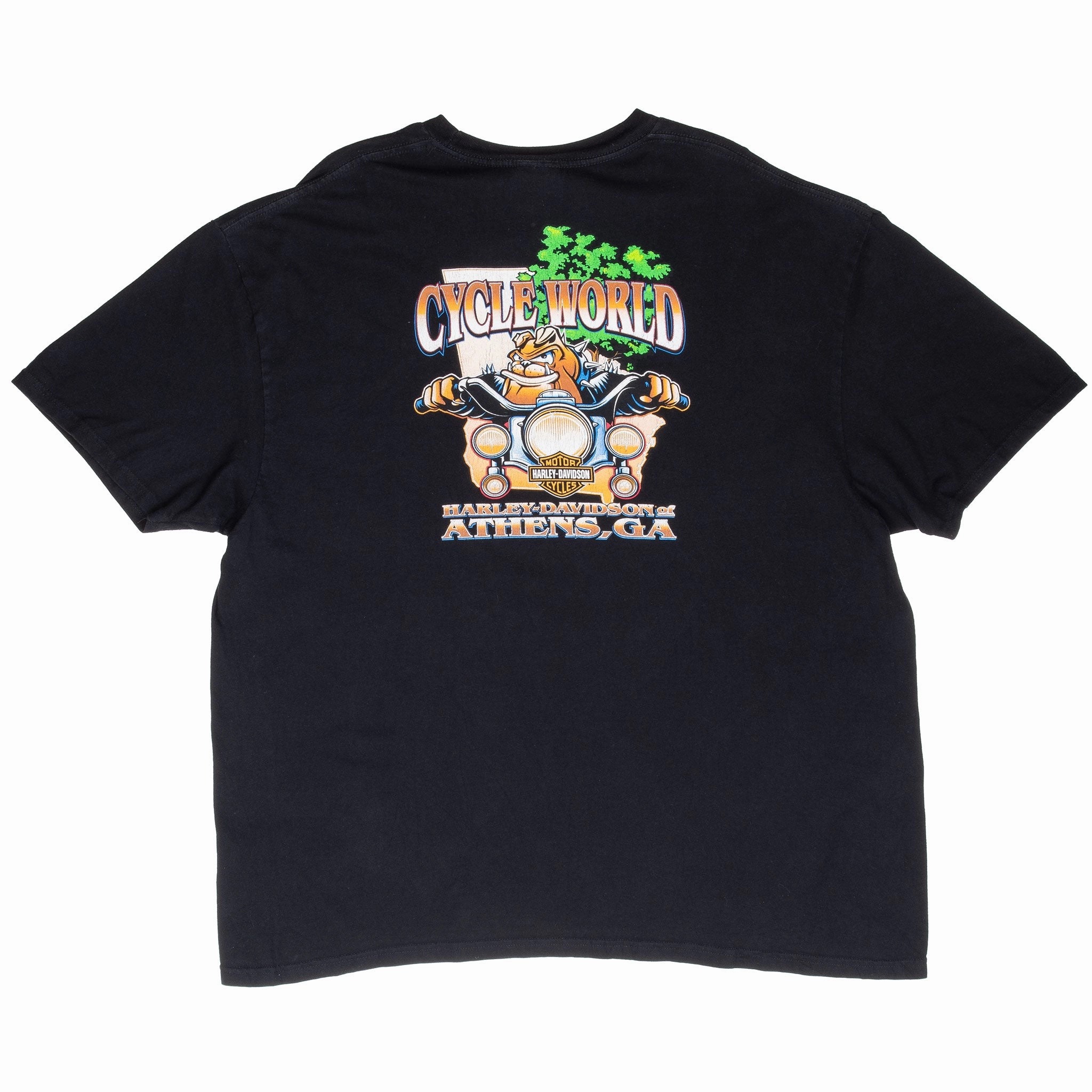 VINTAGE HARLEY DAVIDSON EAGLE 2010 TEE SHIRT 2XL