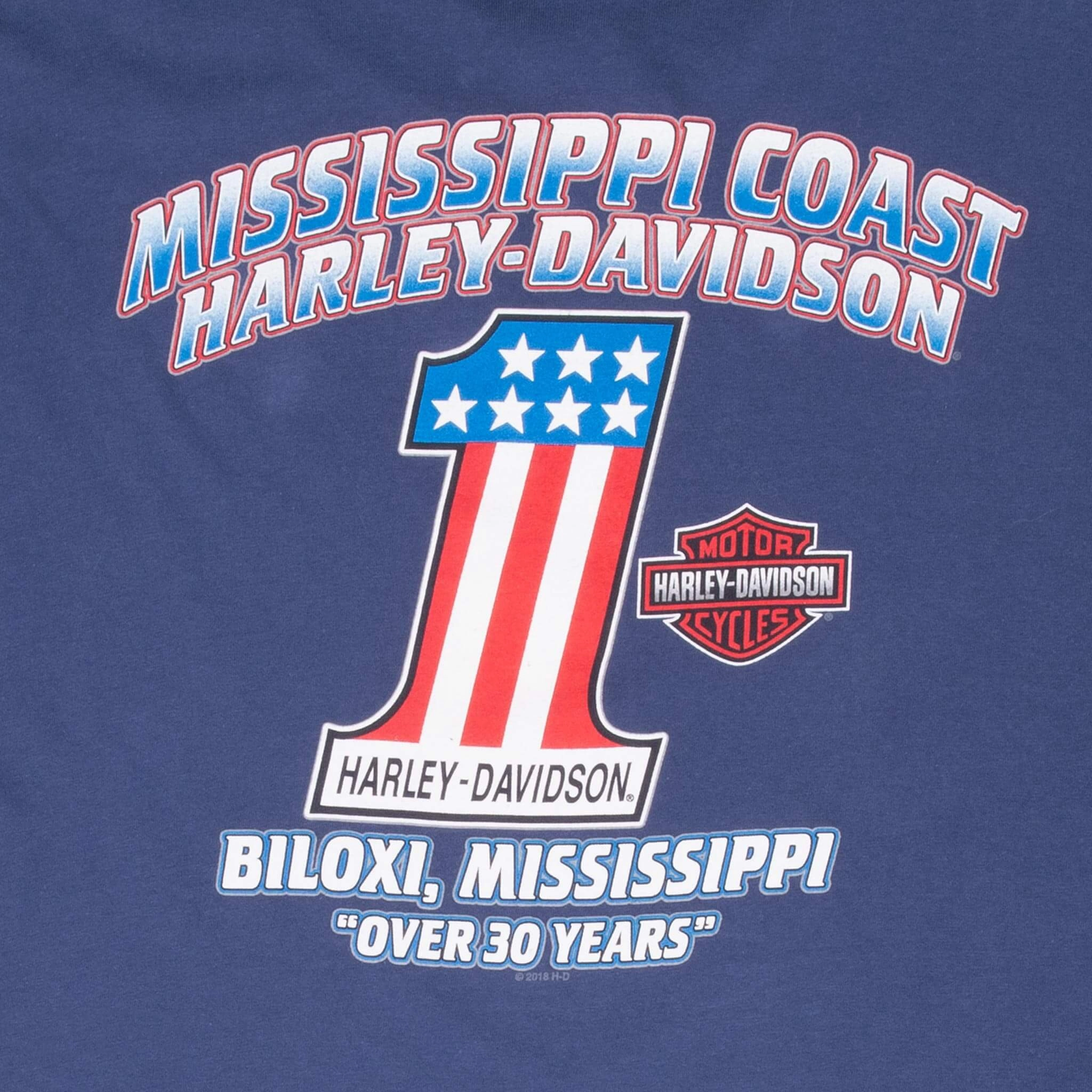 VINTAGE HARLEY DAVIDSON EAGLE TEE SHIRT 2XL MADE IN USA