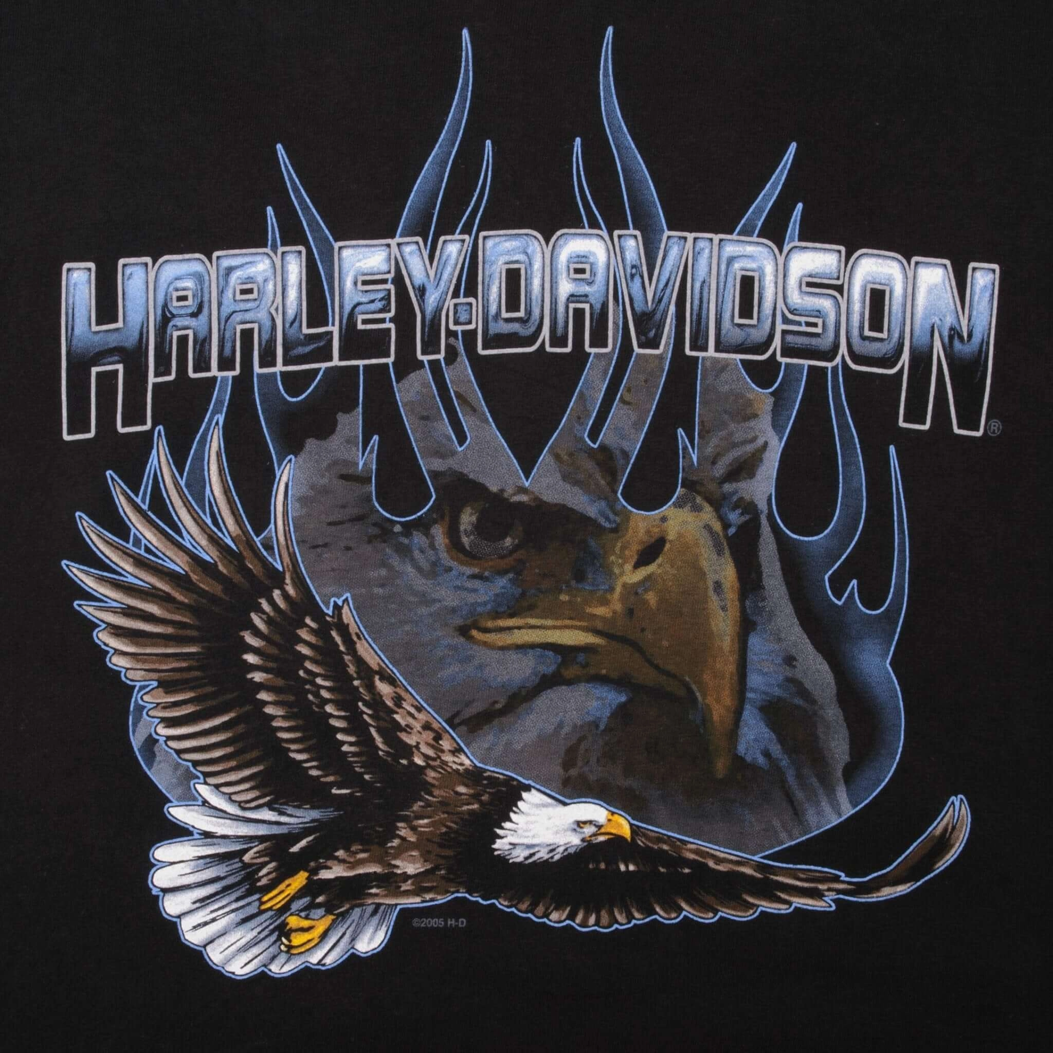 VINTAGE HARLEY DAVIDSON EAGLE TEXAS TEE SHIRT 2005 LARGE MADE IN USA