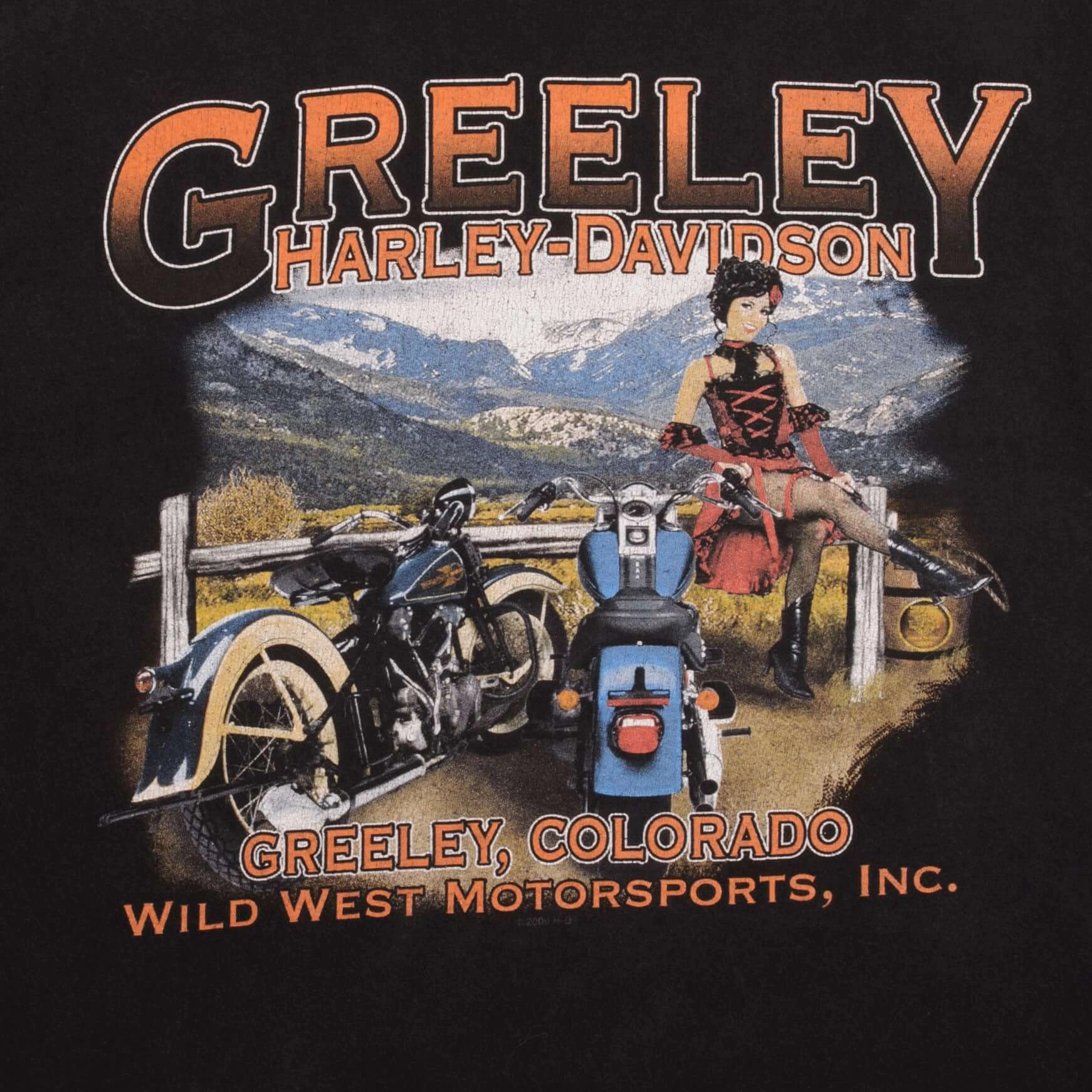 VINTAGE HARLEY DAVIDSON FLAME LONG SLEEVE TEE SHIRT 2009 SIZE XL MADE IN USA