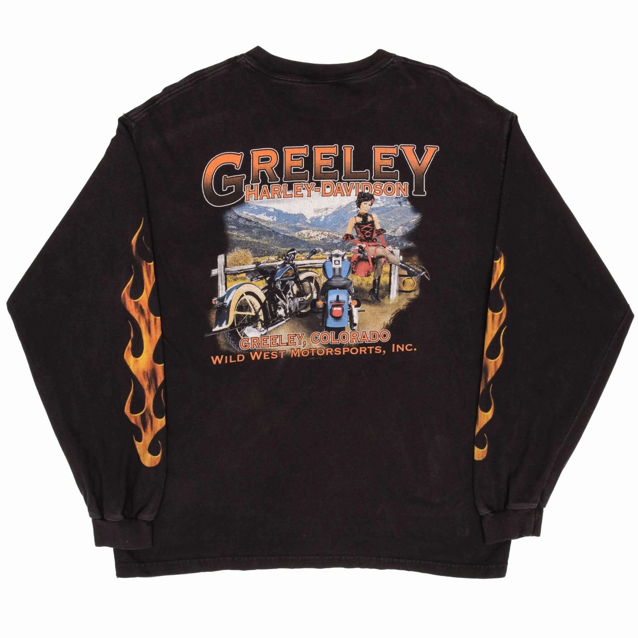 VINTAGE HARLEY DAVIDSON FLAME LONG SLEEVE TEE SHIRT 2009 SIZE XL MADE IN USA