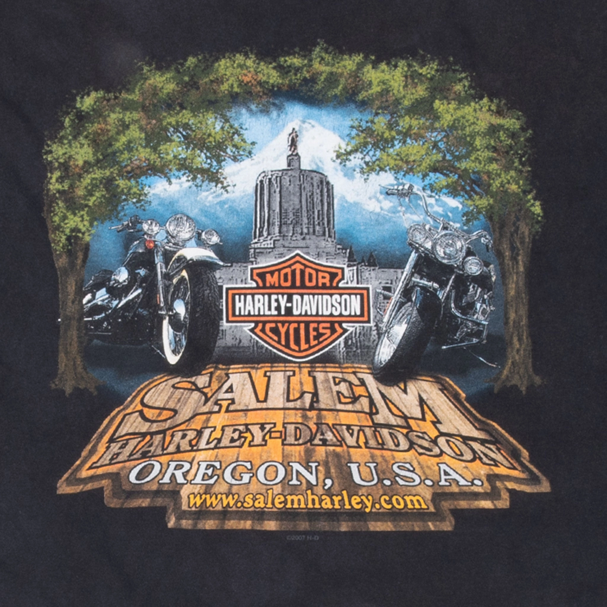 VINTAGE HARLEY DAVIDSON FOLLOW NO ONE OREGON TEE SHIRT 2009 3XL