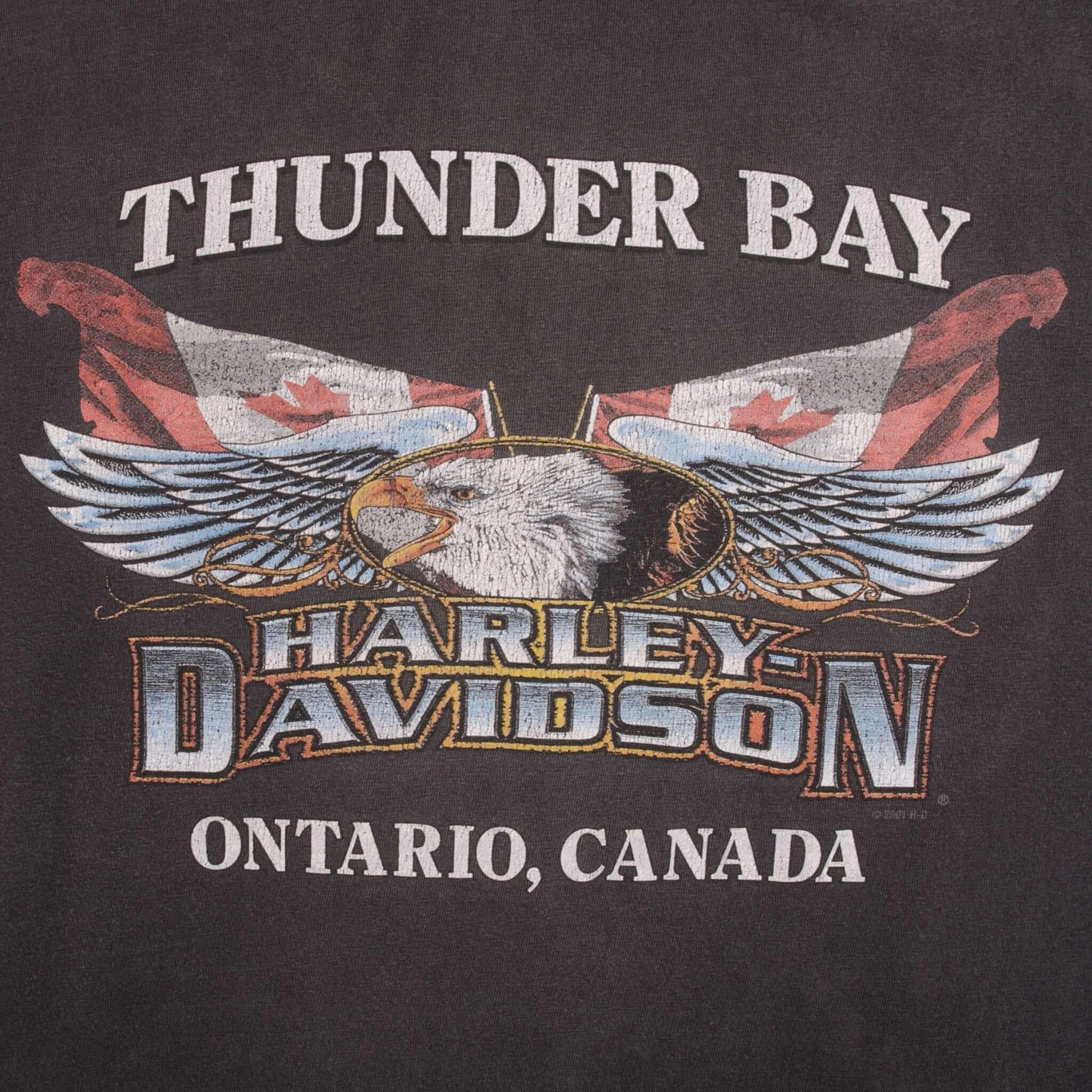 VINTAGE HARLEY DAVIDSON HI-WAY CAFE TEE SHIRT 2001 SIZE XL