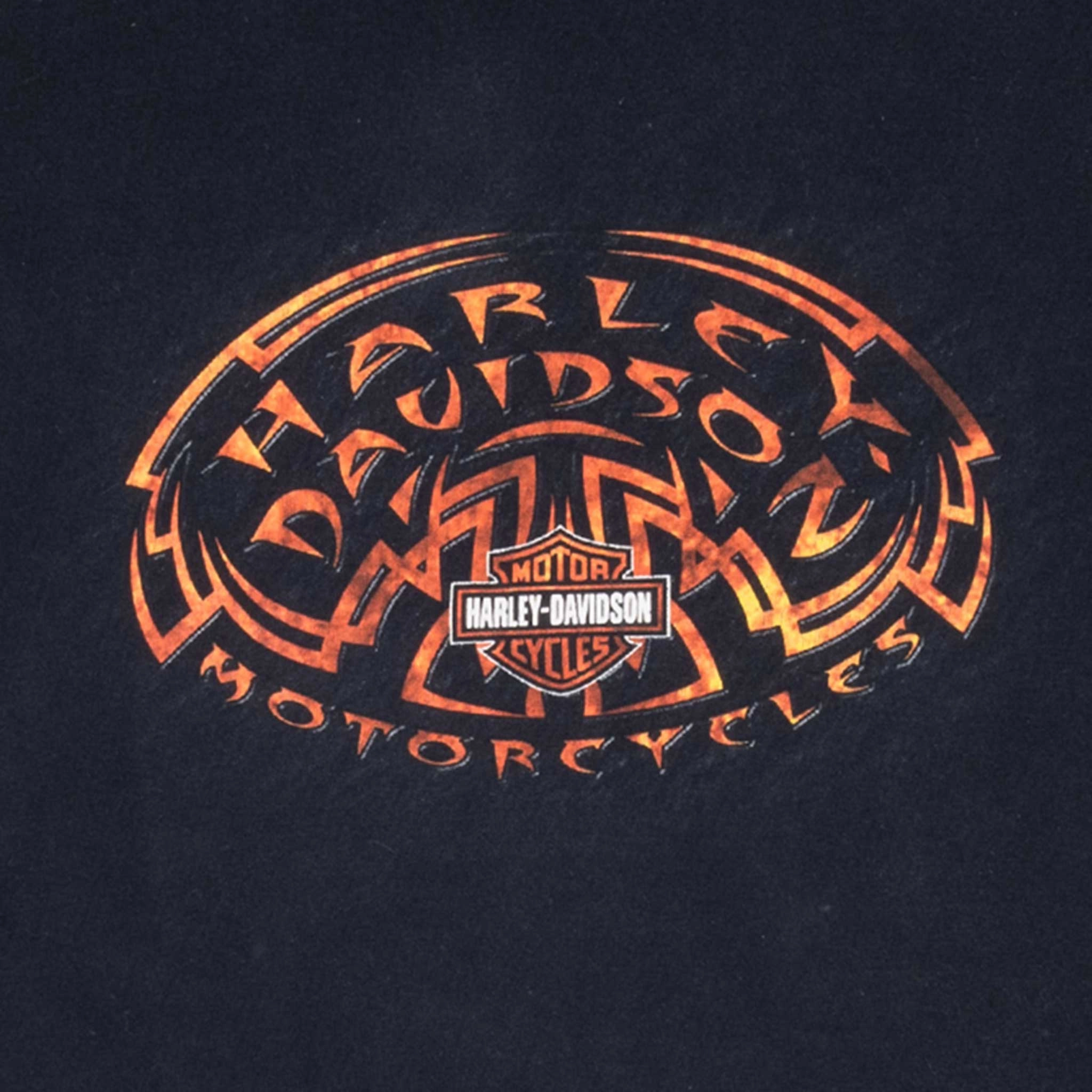 VINTAGE HARLEY DAVIDSON ILLINOIS 2006 TEE SHIRT LARGE