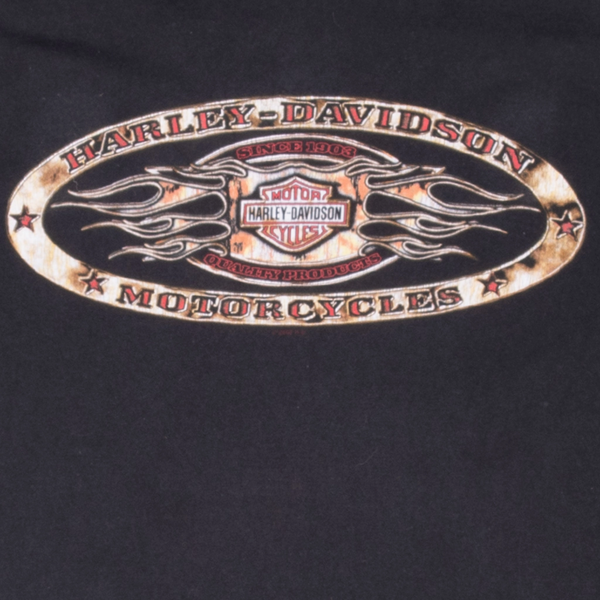 VINTAGE HARLEY DAVIDSON KANSAS TEE SHIRT 2009 LARGE MADE IN USA