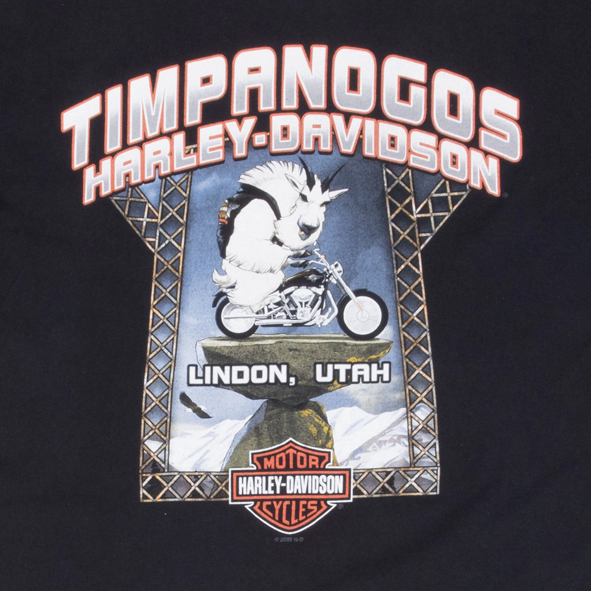 VINTAGE HARLEY DAVIDSON LINDON UTAH TEE SHIRT 2008 LARGE MADE IN USA
