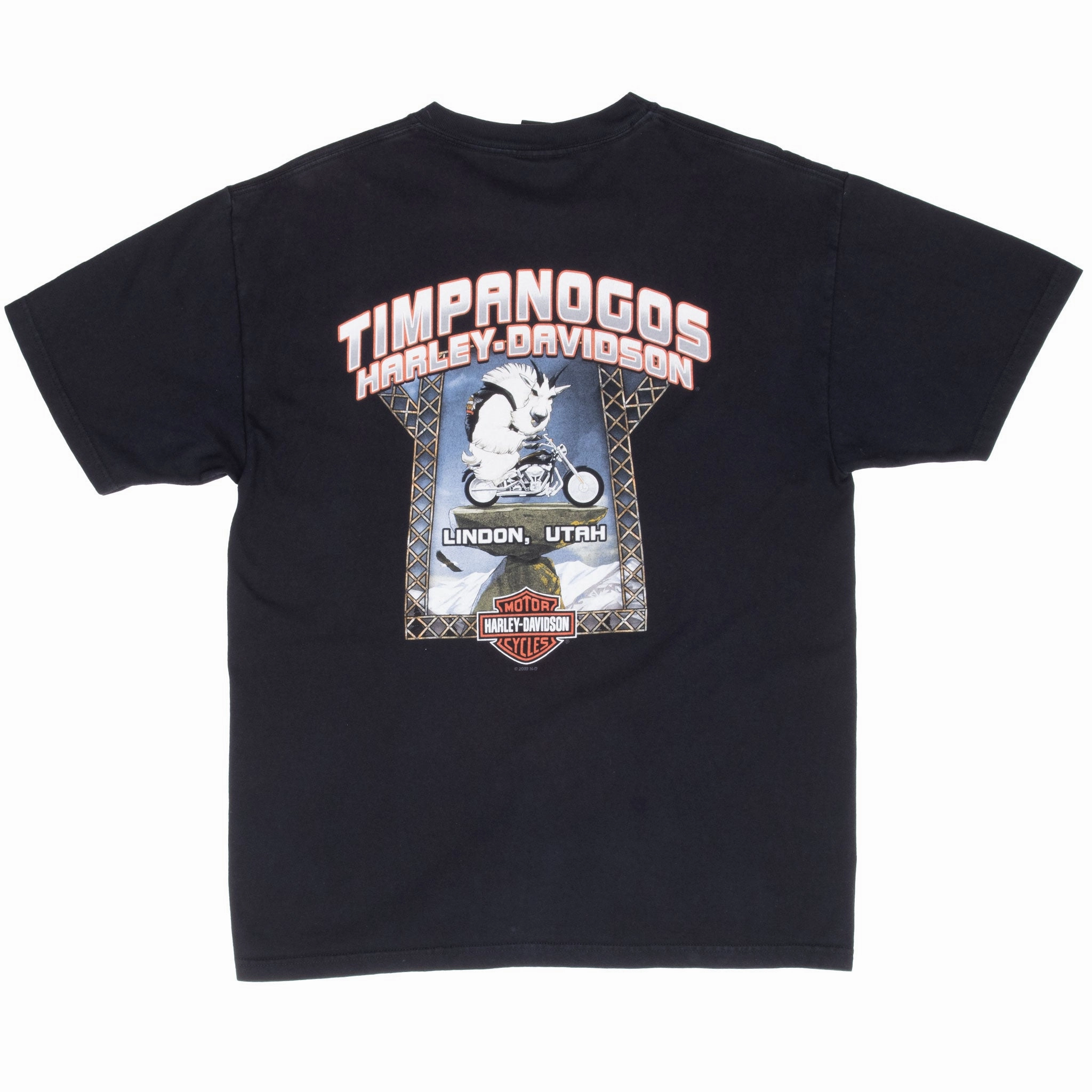 VINTAGE HARLEY DAVIDSON LINDON UTAH TEE SHIRT 2008 LARGE MADE IN USA