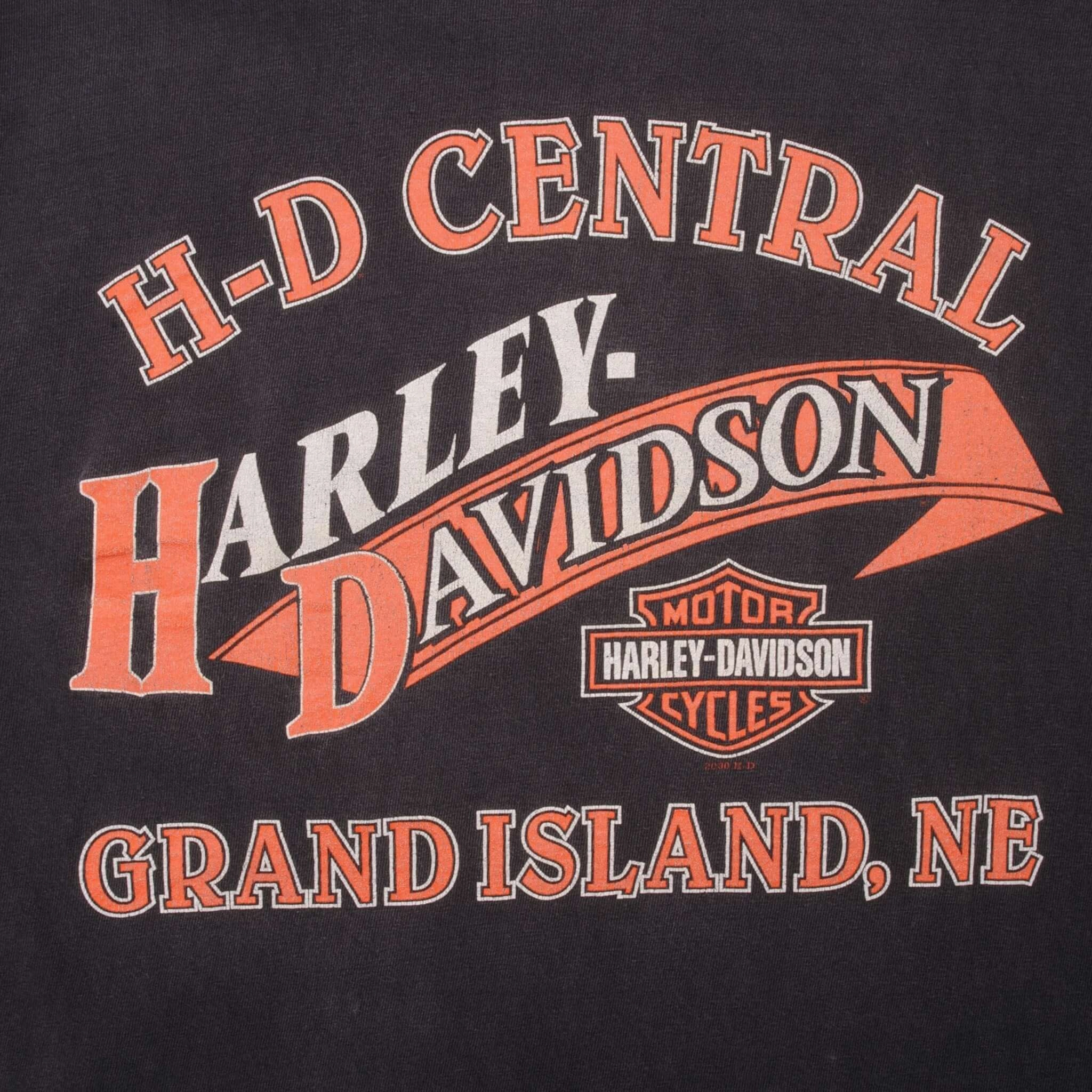 VINTAGE HARLEY DAVIDSON MOTOR CYCLES TEE SHIRT 2000 LARGE MADE IN USA