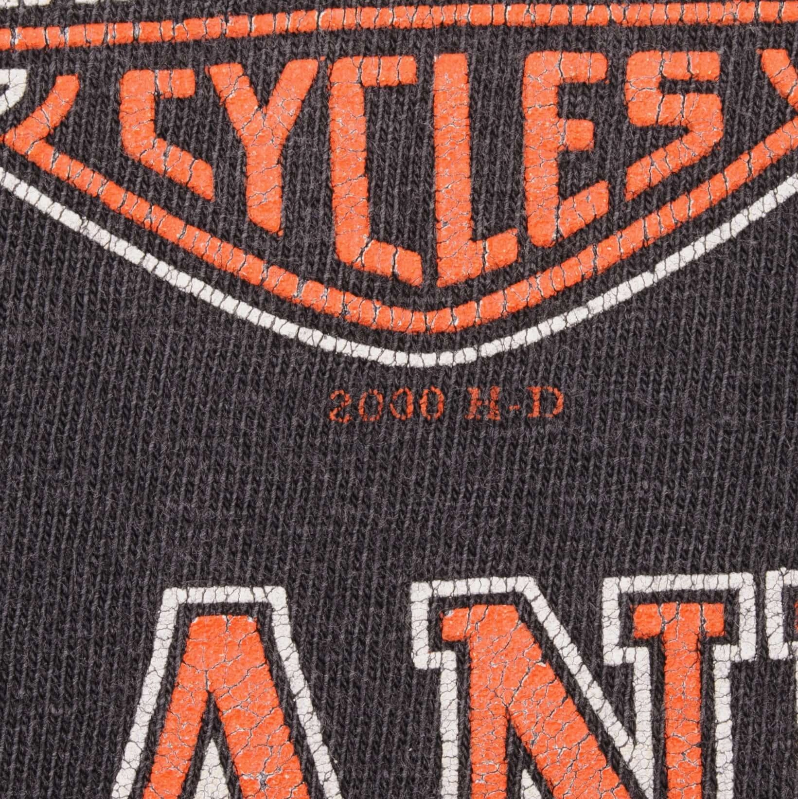 VINTAGE HARLEY DAVIDSON MOTOR CYCLES TEE SHIRT 2000 LARGE MADE IN USA