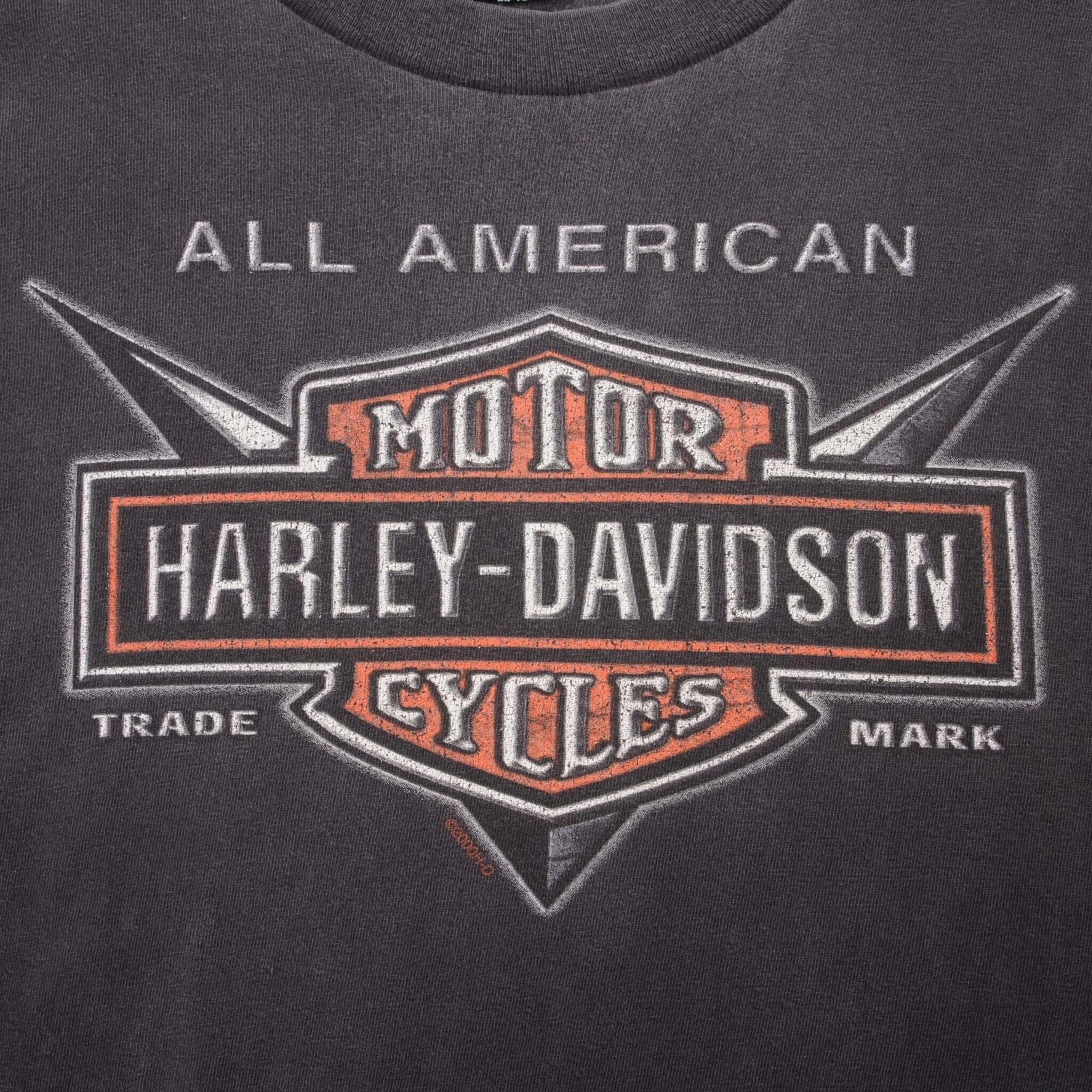 VINTAGE HARLEY DAVIDSON MOTOR CYCLES TEE SHIRT 2000 LARGE MADE IN USA