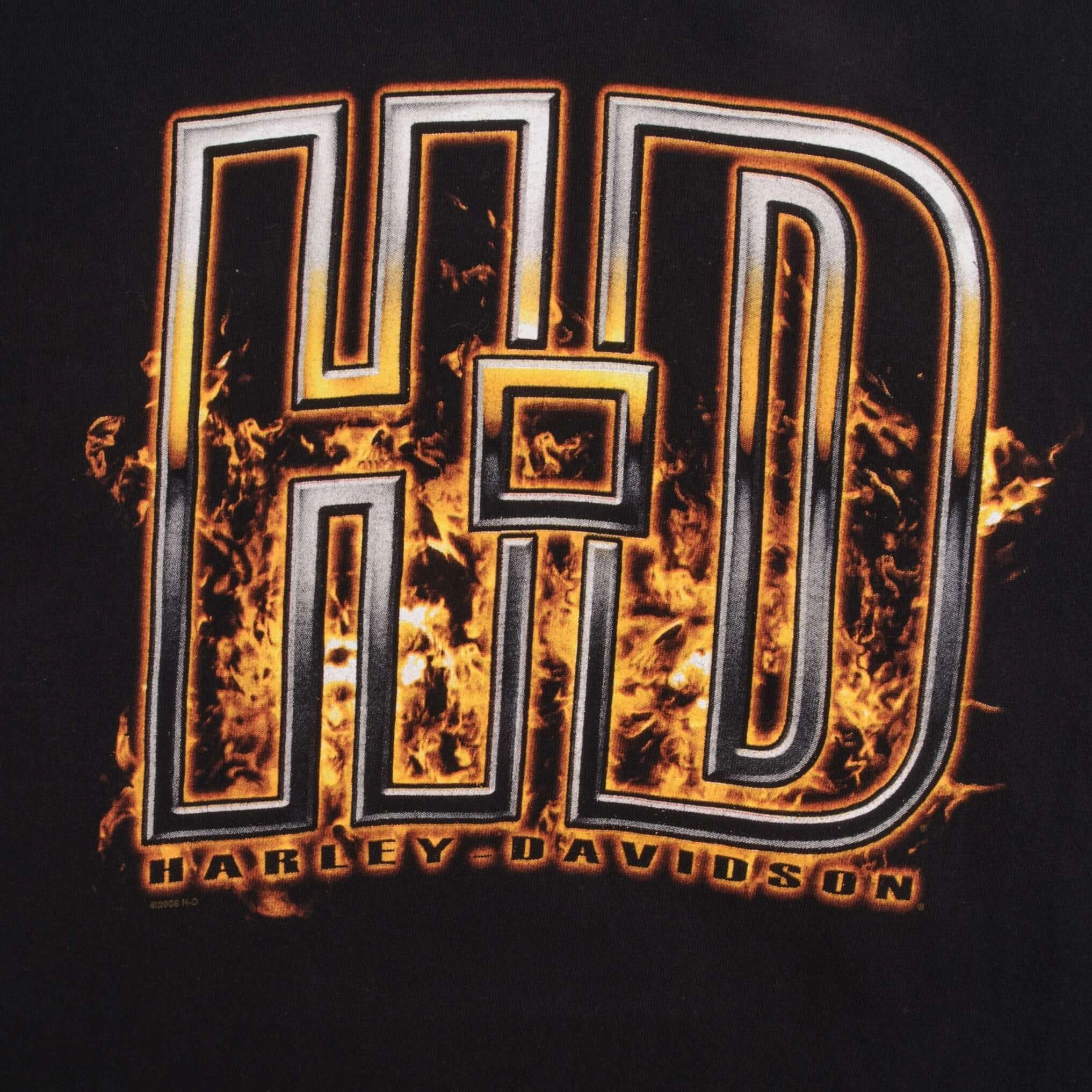 VINTAGE HARLEY DAVIDSON NEW MEXICO TEE SHIRT 2007 SIZE LARGE MADE IN USA