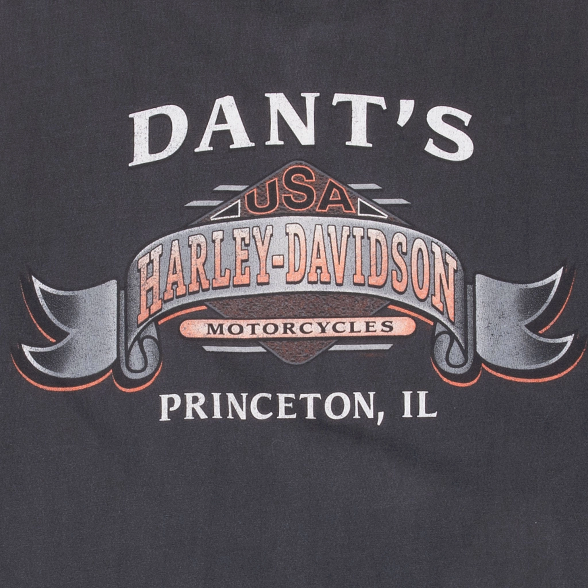 VINTAGE HARLEY DAVIDSON PRINCETON ILLINOIS TEE SHIRT 1998 LARGE MADE IN USA