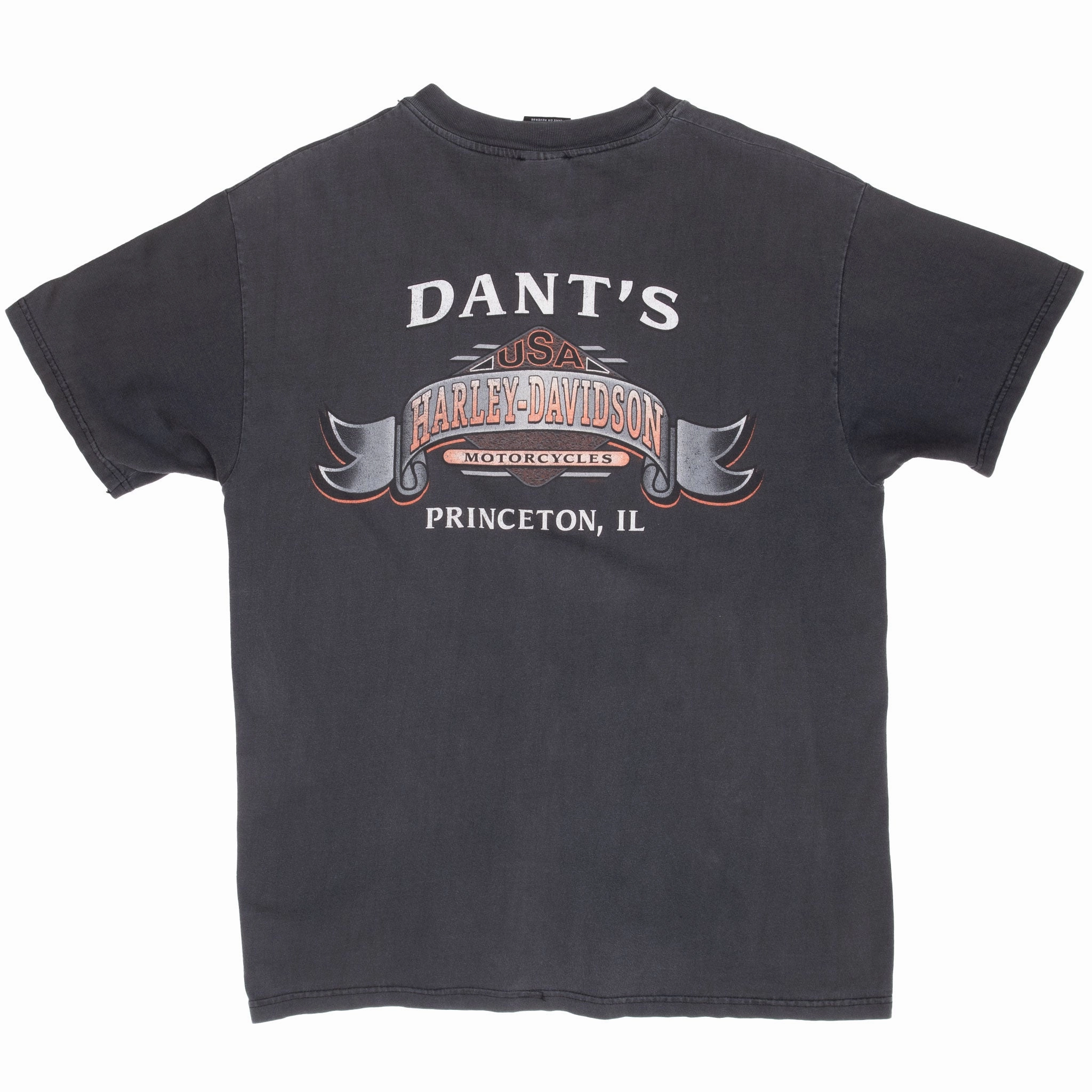 VINTAGE HARLEY DAVIDSON PRINCETON ILLINOIS TEE SHIRT 1998 LARGE MADE IN USA