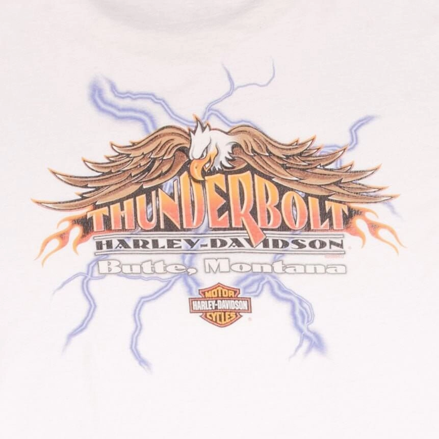 VINTAGE HARLEY DAVIDSON RACING LONG SLEEVES TEE SHIRT 2002 SIZE 2XL MADE IN USA