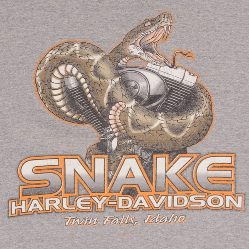 VINTAGE HARLEY DAVIDSON SNAKE TWIN FALLS IDAHO TANK TOP TEE SHIRT 2006 LARGE