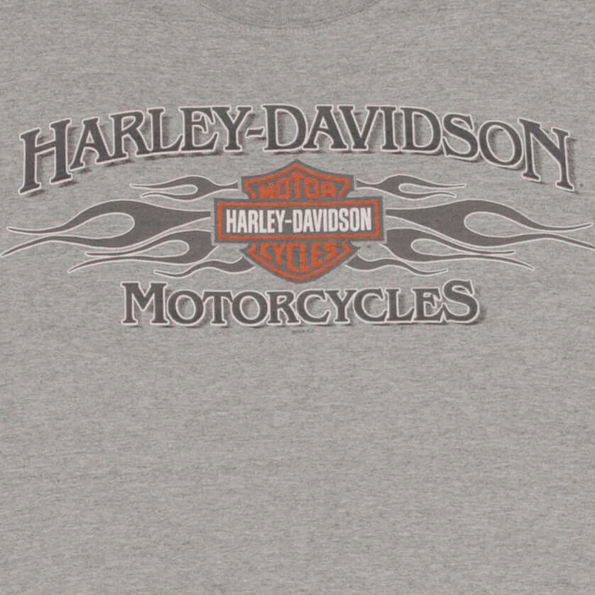 VINTAGE HARLEY DAVIDSON SNAKE TWIN FALLS IDAHO TANK TOP TEE SHIRT 2006 LARGE