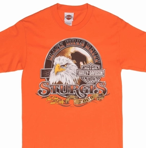 VINTAGE HARLEY DAVIDSON STURGIS BLACK HILL RALLY 2006 TEE SHIRT SMALL MADE USA
