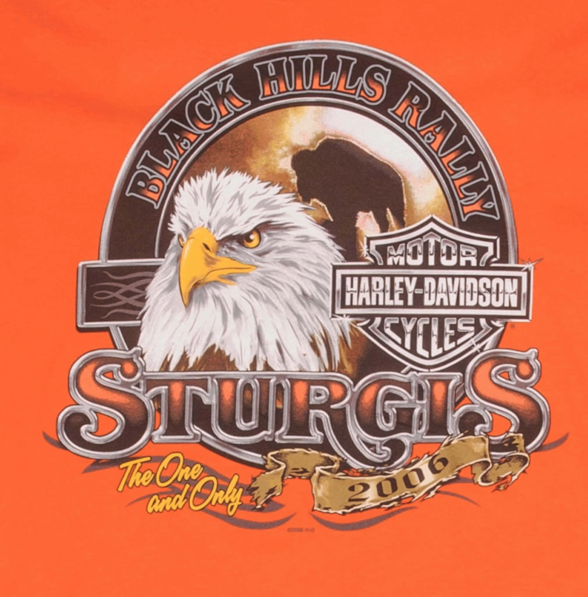 VINTAGE HARLEY DAVIDSON STURGIS BLACK HILL RALLY 2006 TEE SHIRT SMALL MADE USA