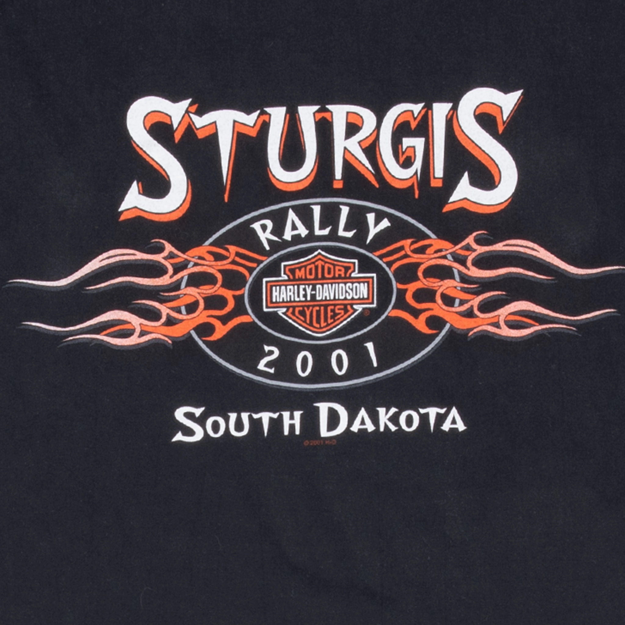 VINTAGE HARLEY DAVIDSON STURGIS SOUTH DAKOTA 2001 TEE SHIRT XL