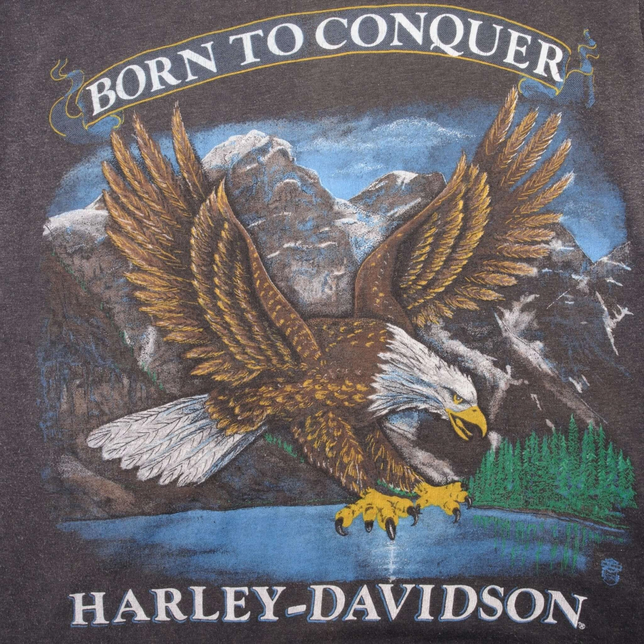 VINTAGE HARLEY DAVIDSON TEE SHIRT 1987 SIZE XS MADE IN USA