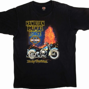 VINTAGE HARLEY DAVIDSON TEE SHIRT 1995 SIZE LARGE MADE IN USA.