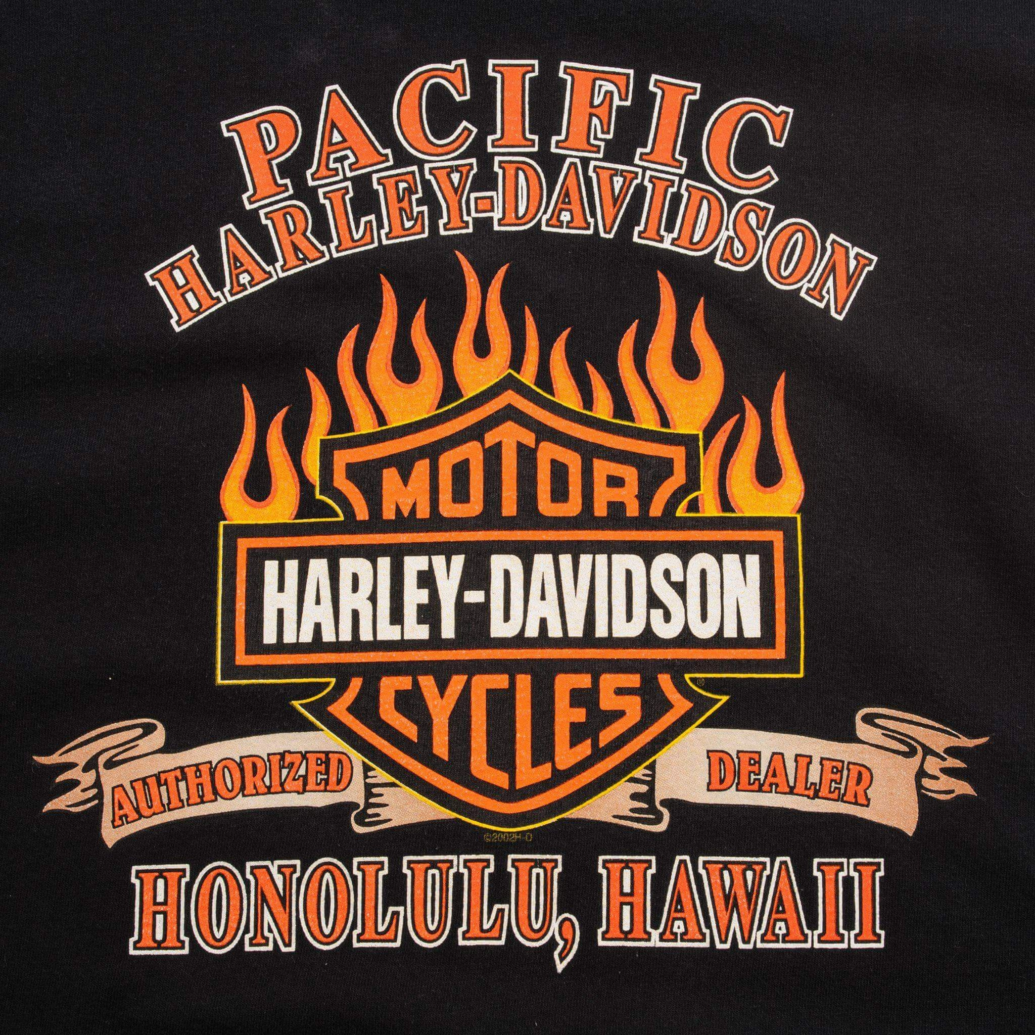 VINTAGE HARLEY DAVIDSON TEE SHIRT 2001 SIZE MEDIUM