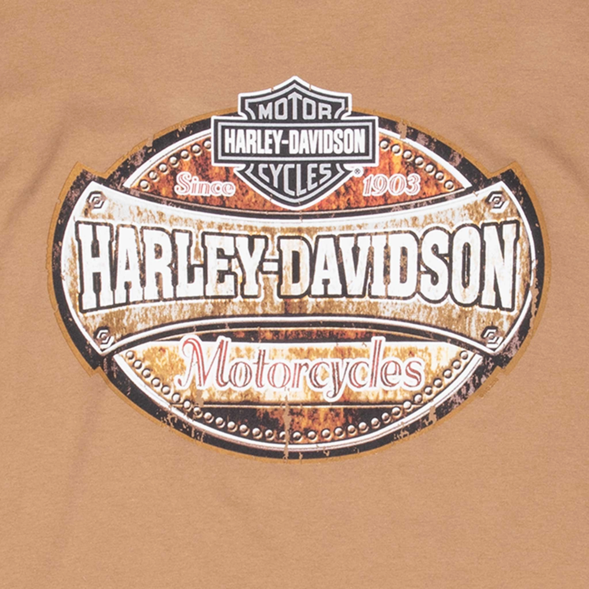 VINTAGE HARLEY DAVIDSON TEXAS 2000S TEE SHIRT 2XL