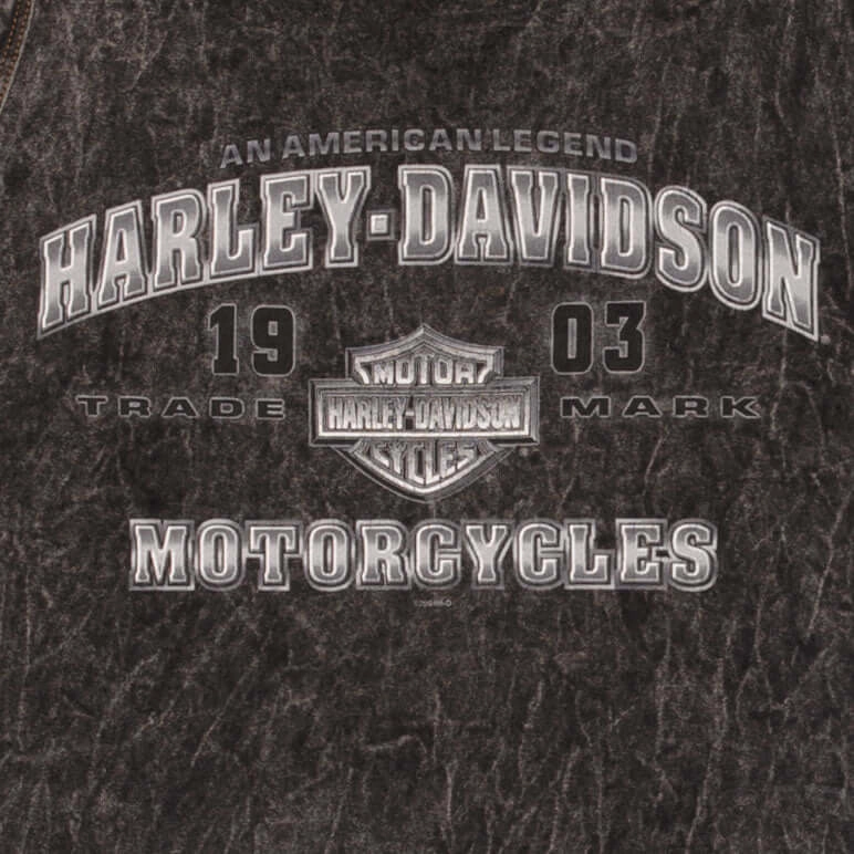 VINTAGE HARLEY DAVIDSON THUNDERBOLT TANK TOP TEE SHIRT 2004 LARGE MADE IN USA