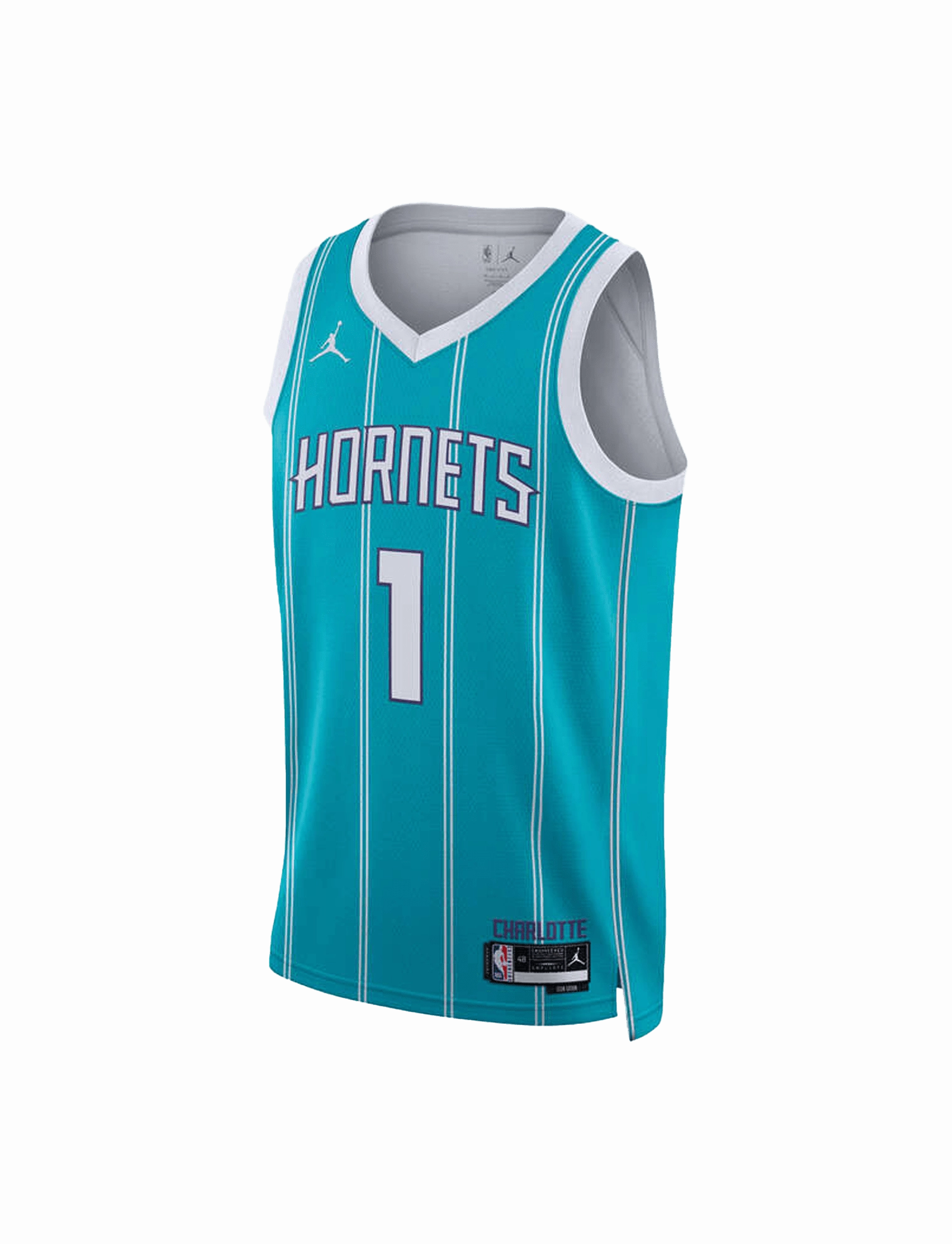 Youths LaMelo Ball Charlotte Hornets Nike NBA Icon Jersey - Teal